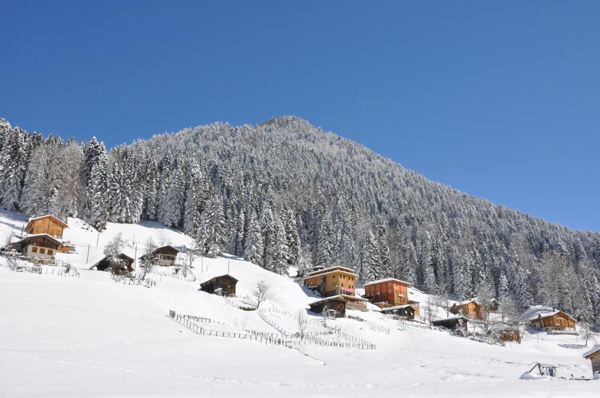 Ayder Hasimoglu Hotel Exteriör bild